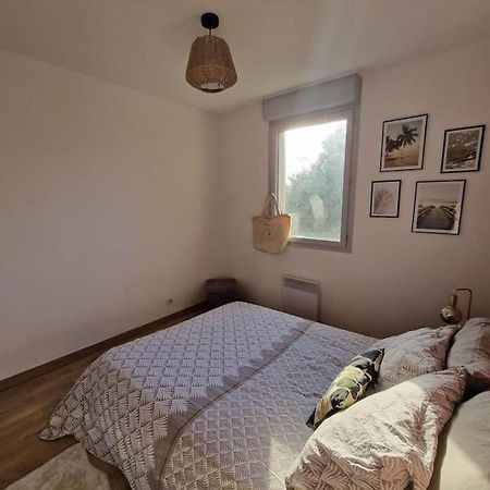 Appartement Cosy Oloron, Aux Pieds Des Pyrenees Et De L'Atlantique! Luaran gambar